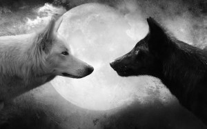 black-and-white-wallpaper-with-two-wolves-and-a-full-moon-hd-animal-background