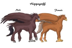 CA Hippogriffs