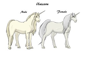 CA Unicorns