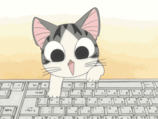 typing cat