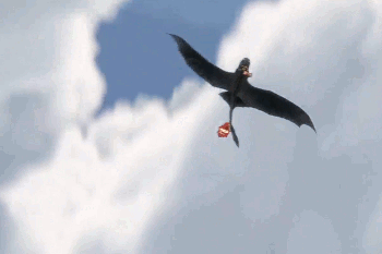 tumblr_nelubhknwy1sh0ytco5_r1_400