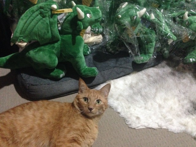 Kyo Doesnt Like the New Attention Stealers