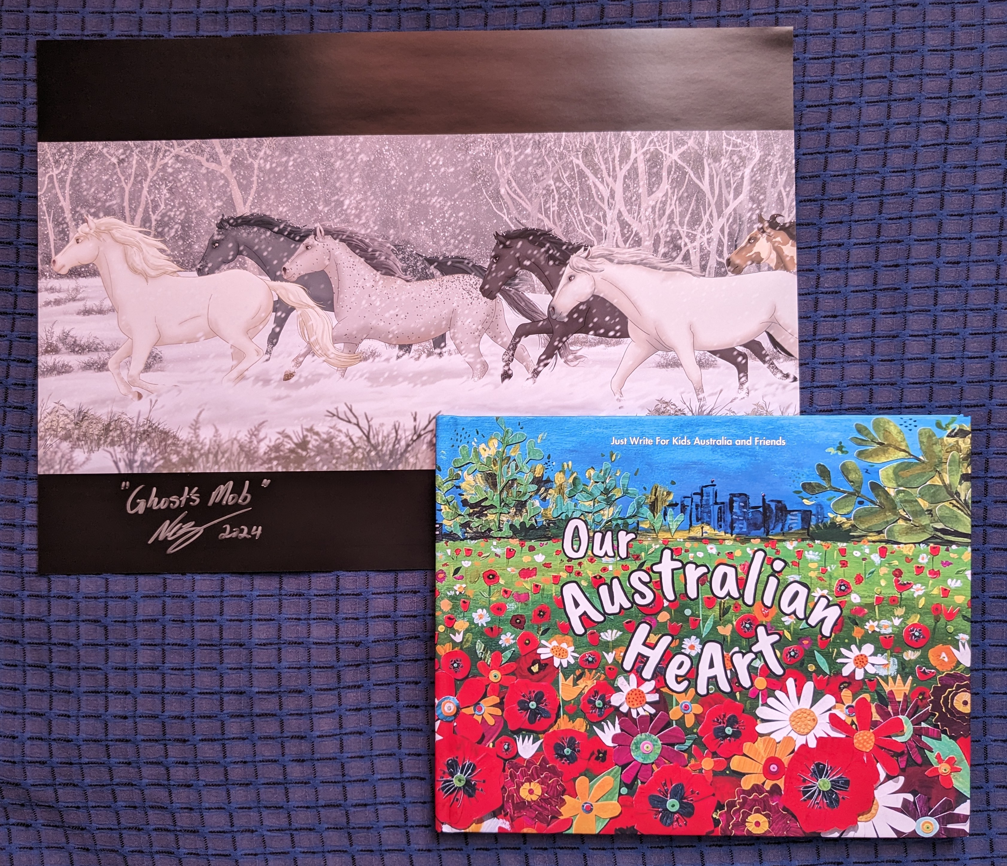 pxl_20240117_043356399